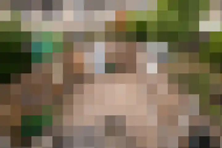 Spechtenkamp 311 Maarssen thumbnail 16