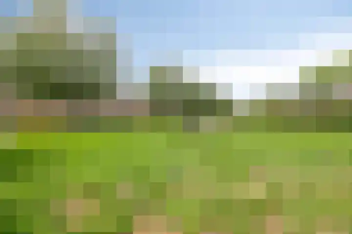 Spechtenkamp 311 Maarssen thumbnail 33