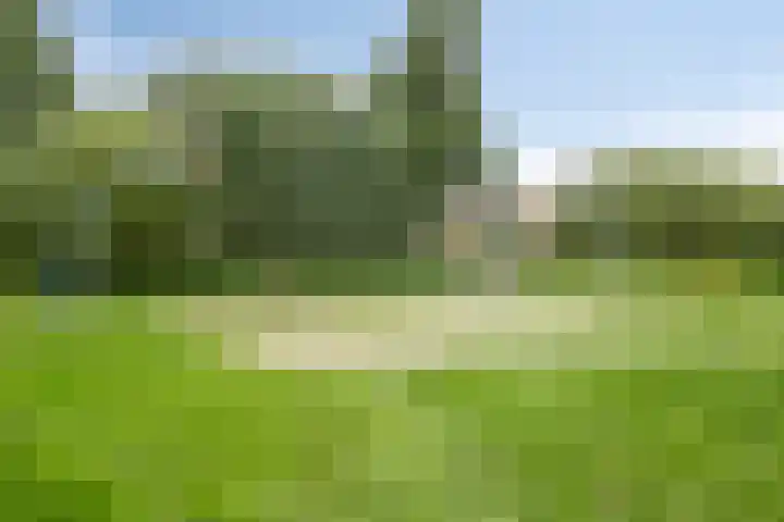 Spechtenkamp 311 Maarssen thumbnail 35