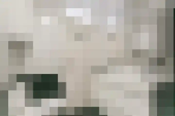 Spechtenkamp 314 Maarssen thumbnail 20
