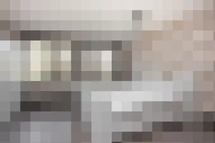 Spechtenkamp 320 Maarssen thumbnail 17