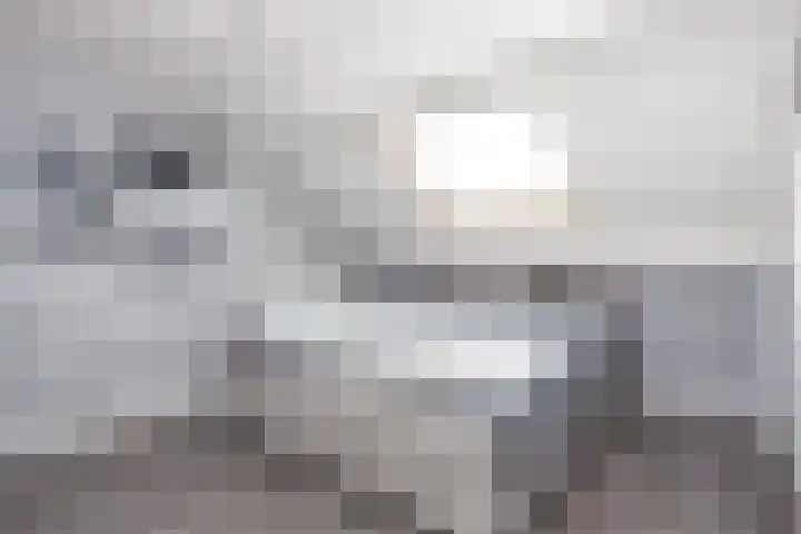 Spechtenkamp 320 Maarssen thumbnail 27