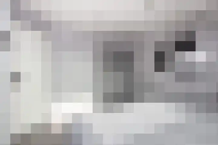 Spechtenkamp 320 Maarssen thumbnail 29