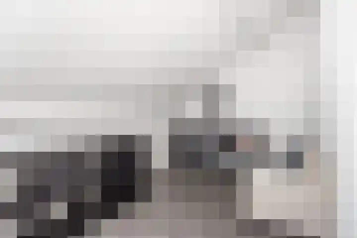 Spechtenkamp 320 Maarssen thumbnail 30