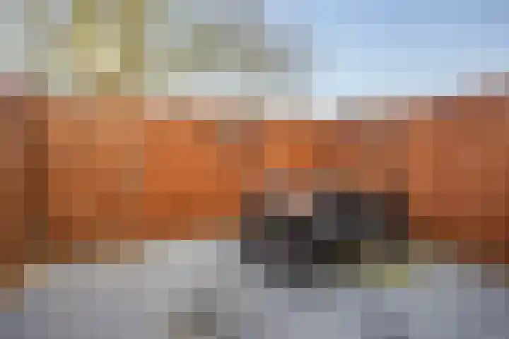 Spechtenkamp 320 Maarssen thumbnail 37