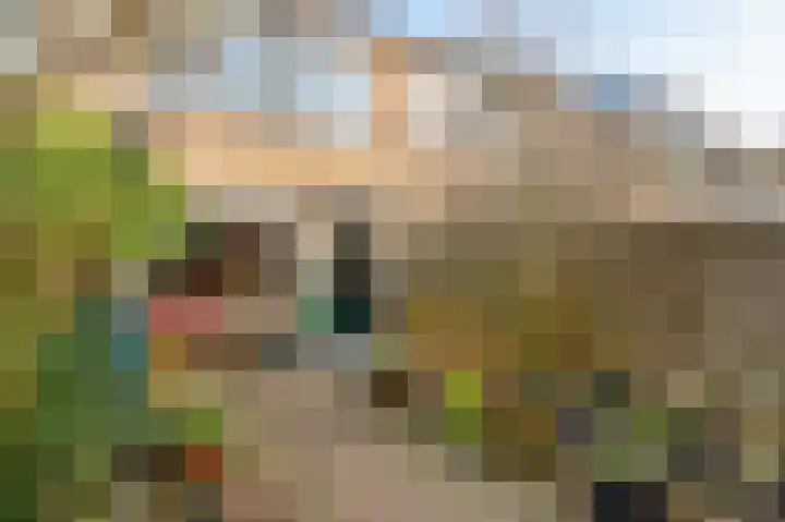 Spechtenkamp 360 Maarssen thumbnail 15