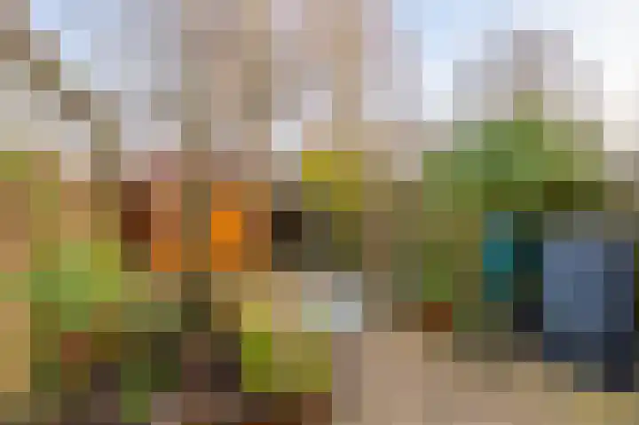 Spechtenkamp 360 Maarssen foto 3