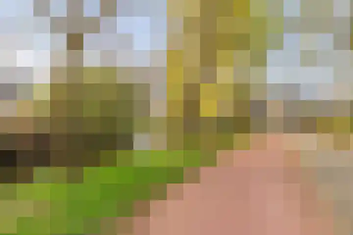 Spechtenkamp 360 Maarssen thumbnail 30