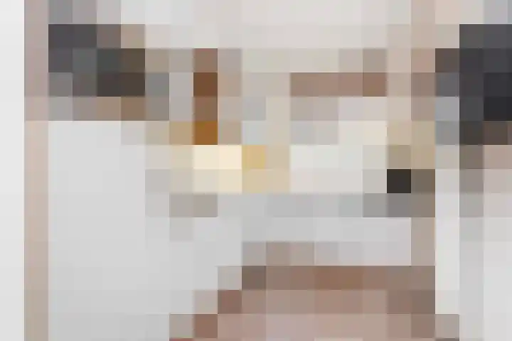 Spechtenkamp 370 Maarssen thumbnail 13