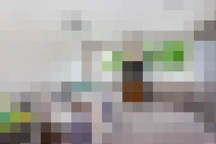 Spechtenkamp 370 Maarssen thumbnail 17
