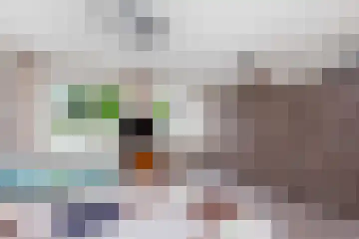 Spechtenkamp 370 Maarssen thumbnail 19