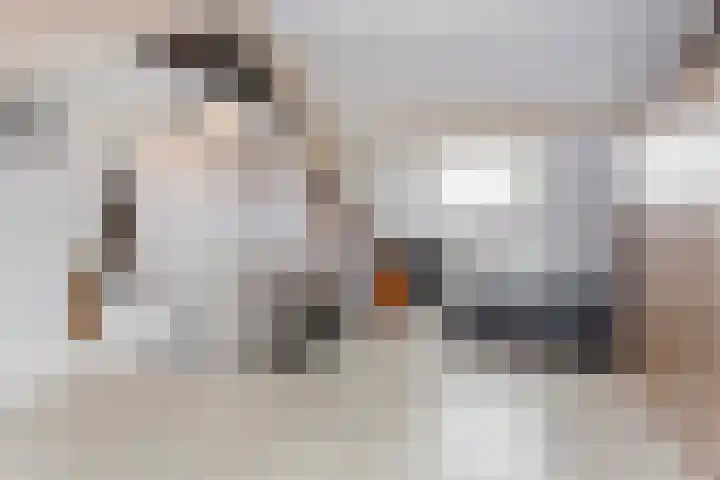 Spechtenkamp 370 Maarssen thumbnail 26
