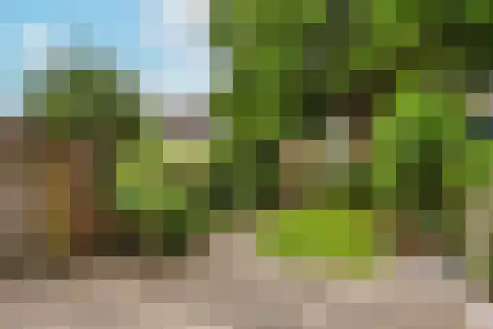 Spechtenkamp 370 Maarssen thumbnail 30