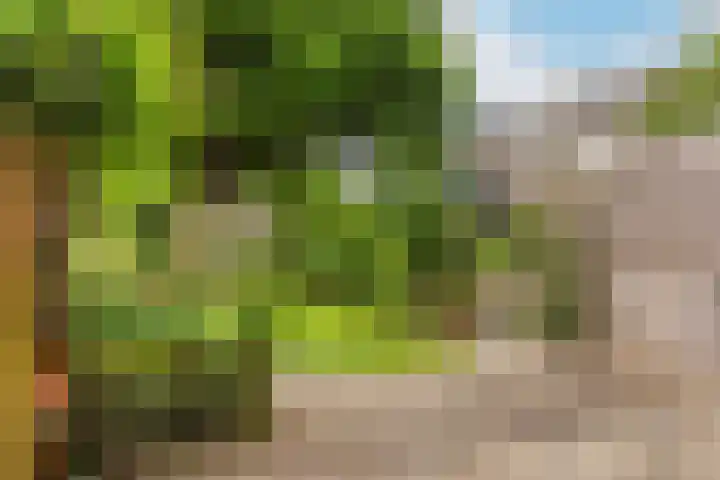 Spechtenkamp 370 Maarssen thumbnail 31