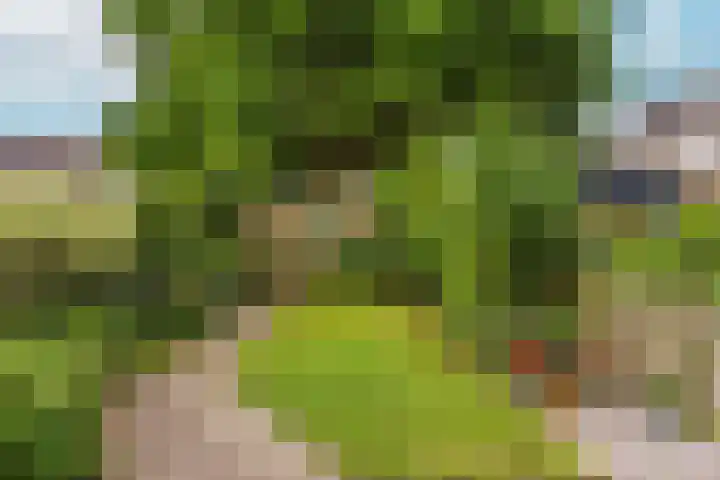 Spechtenkamp 370 Maarssen thumbnail 32