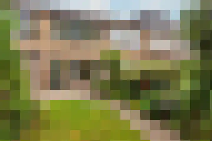 Spechtenkamp 370 Maarssen thumbnail 33