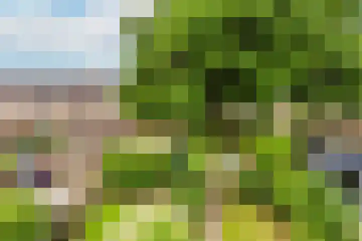 Spechtenkamp 370 Maarssen thumbnail 35