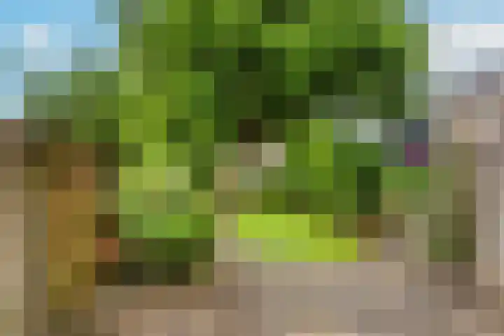 Spechtenkamp 370 Maarssen thumbnail 36