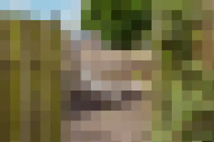 Spechtenkamp 370 Maarssen thumbnail 37