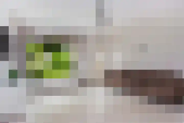 Spechtenkamp 370 Maarssen thumbnail 7