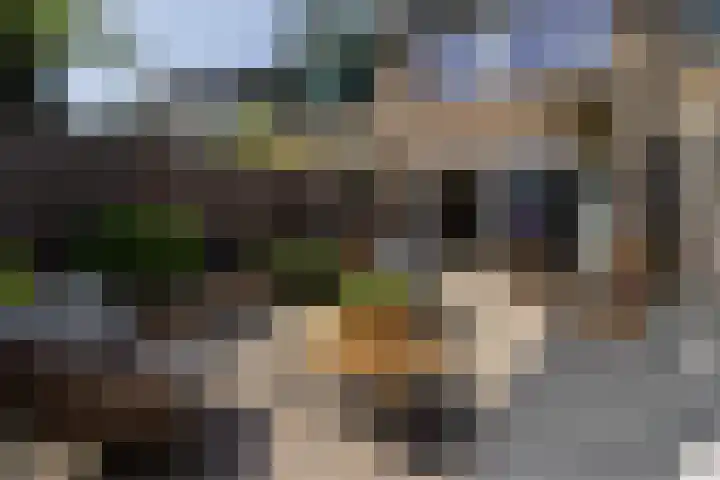 Spechtenkamp 397 Maarssen thumbnail 11