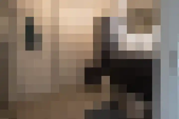 Spechtenkamp 397 Maarssen thumbnail 16