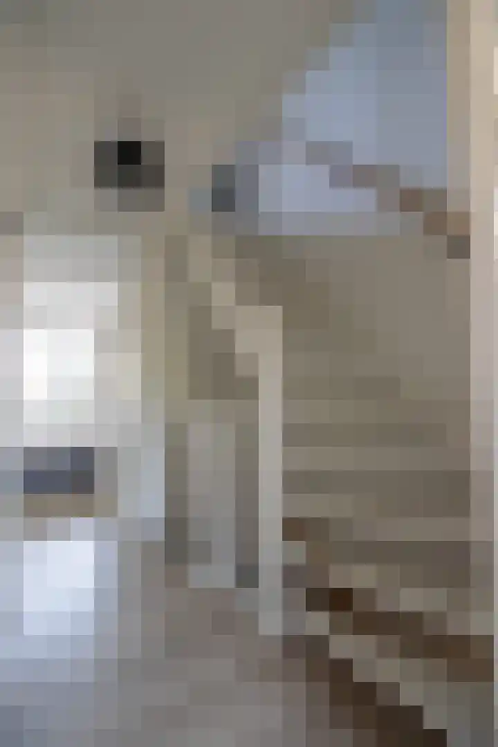 Spechtenkamp 397 Maarssen thumbnail 23