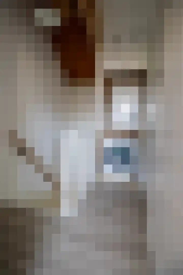 Spechtenkamp 397 Maarssen thumbnail 27