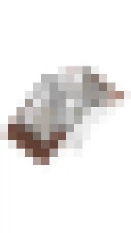 Spechtenkamp 397 Maarssen thumbnail 38