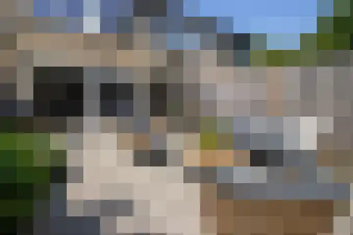 Spechtenkamp 397 Maarssen thumbnail 4