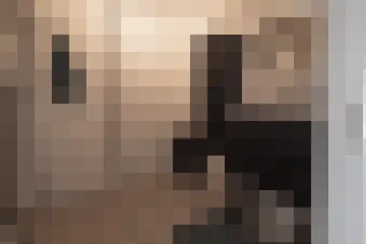 Spechtenkamp 397 Maarssen thumbnail 5