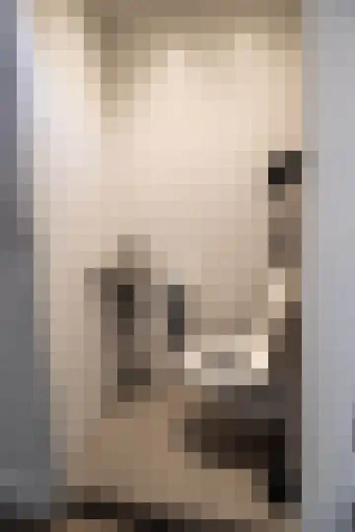 Spechtenkamp 397 Maarssen thumbnail 9