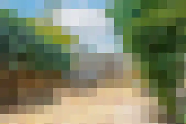 Spechtenkamp 399 Maarssen thumbnail 12