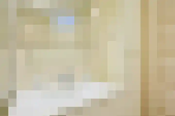 Spechtenkamp 399 Maarssen thumbnail 26