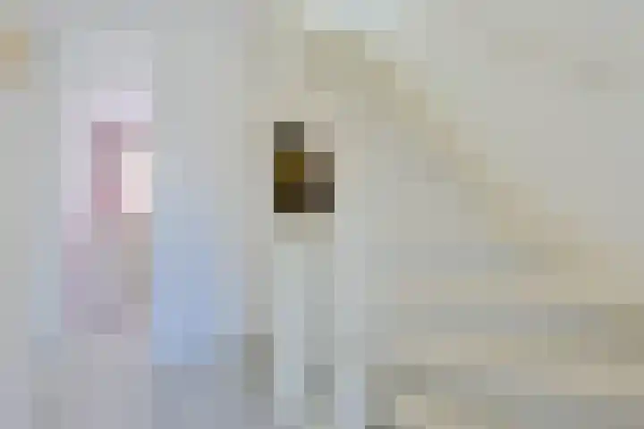 Spechtenkamp 399 Maarssen thumbnail 29