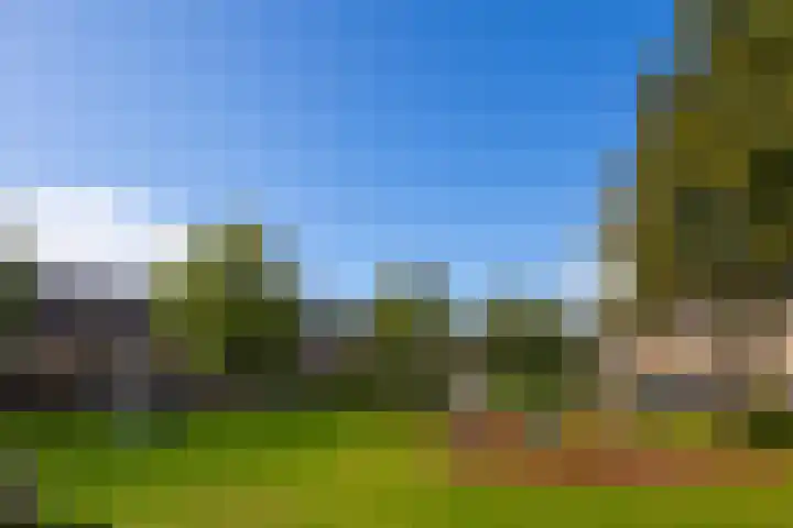 Spechtenkamp 399 Maarssen thumbnail 34