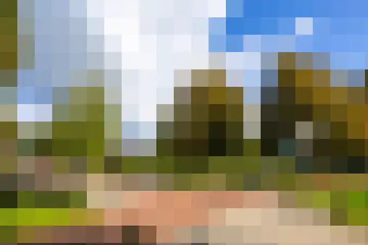 Spechtenkamp 399 Maarssen thumbnail 35