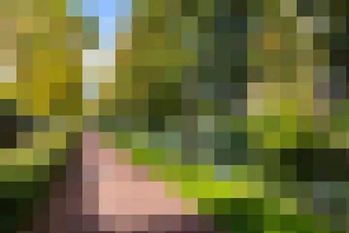 Spechtenkamp 399 Maarssen thumbnail 36