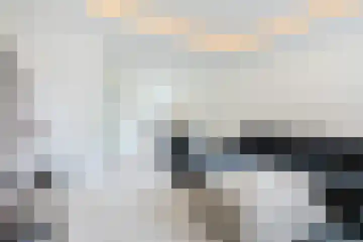 Spechtenkamp 399 Maarssen thumbnail 9