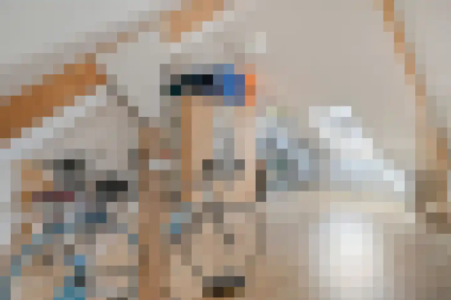 Spechtenkamp 44 Maarssen thumbnail 18