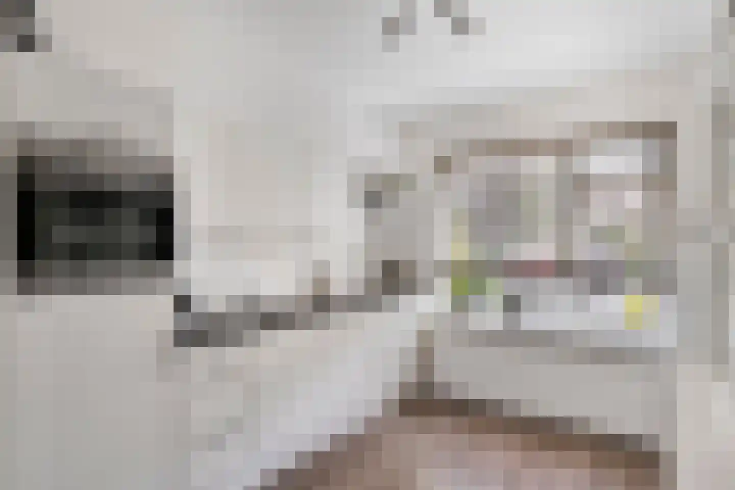 Spechtenkamp 44 Maarssen thumbnail 6