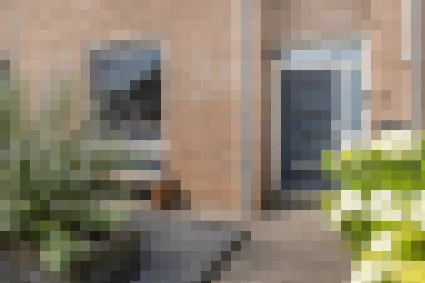 Spechthof 7 Elsloo thumbnail 10