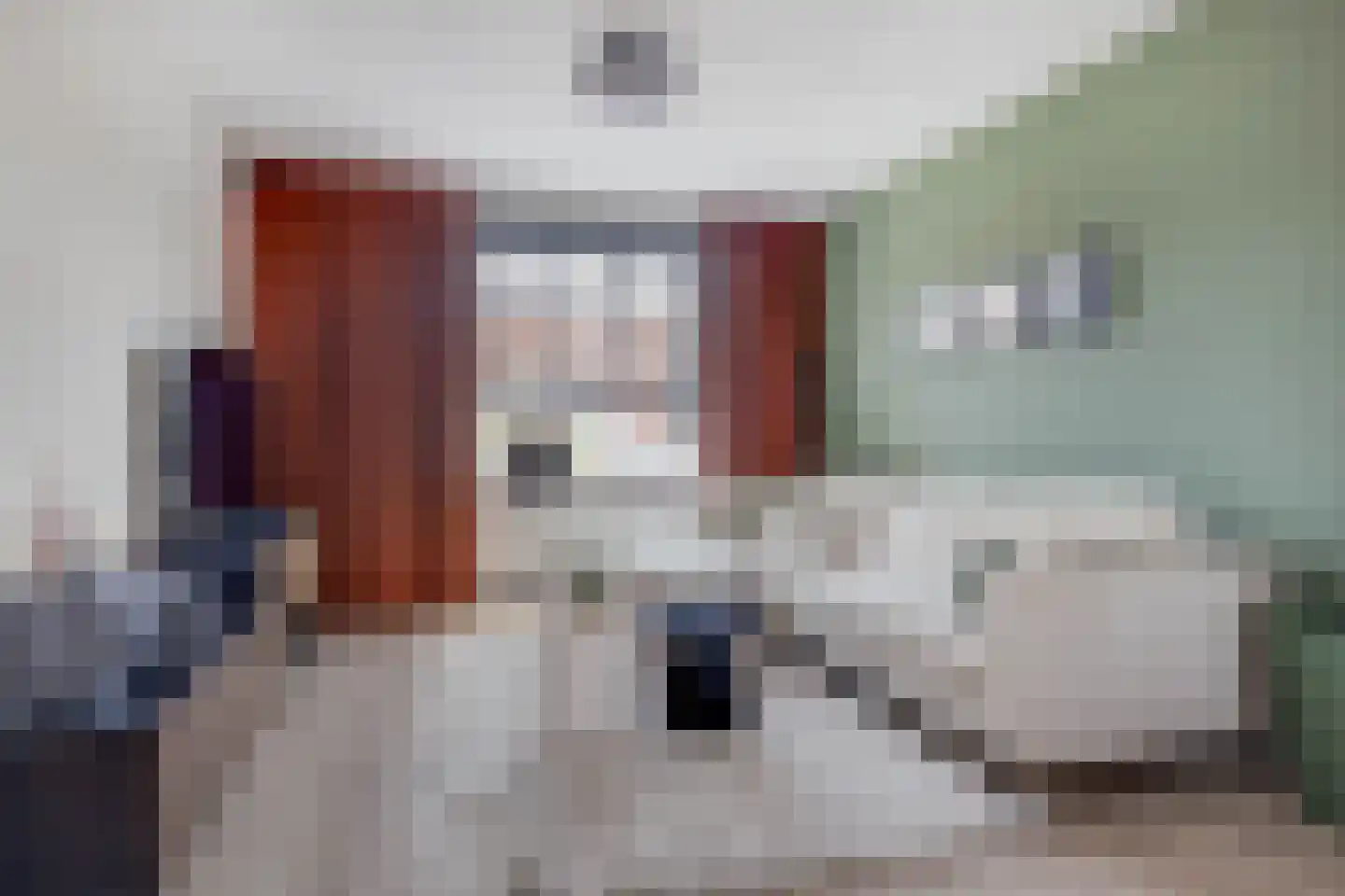 Spechthof 7 Elsloo thumbnail 15
