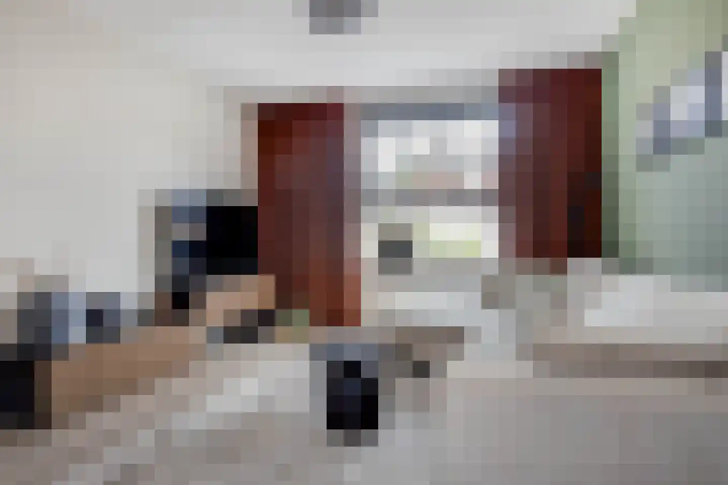 Spechthof 7 Elsloo thumbnail 16