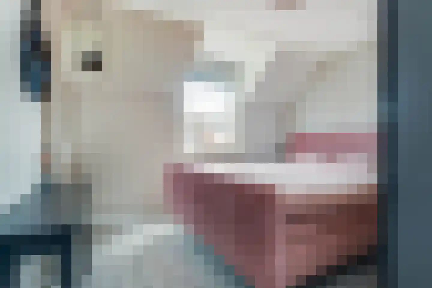 Spechthof 7 Elsloo thumbnail 24