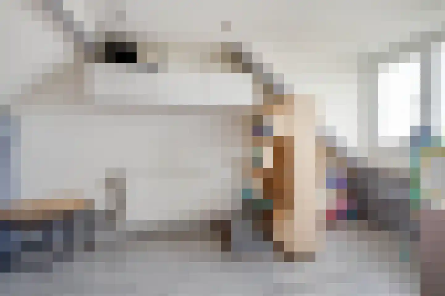 Spechthof 7 Elsloo thumbnail 33