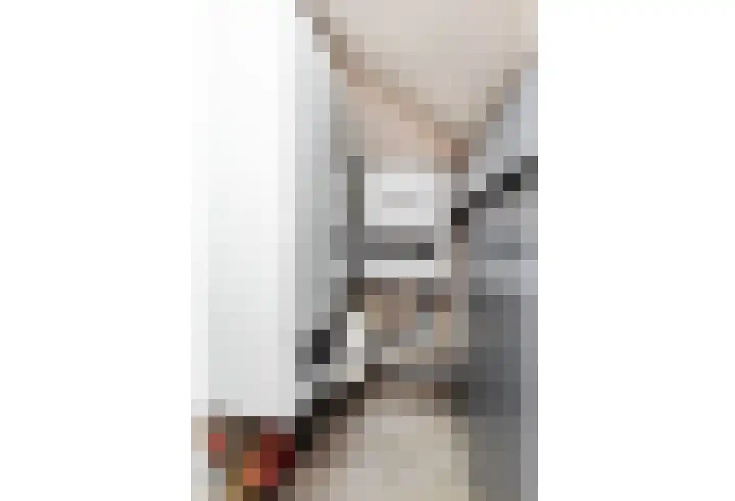 Spechthof 7 Elsloo thumbnail 35