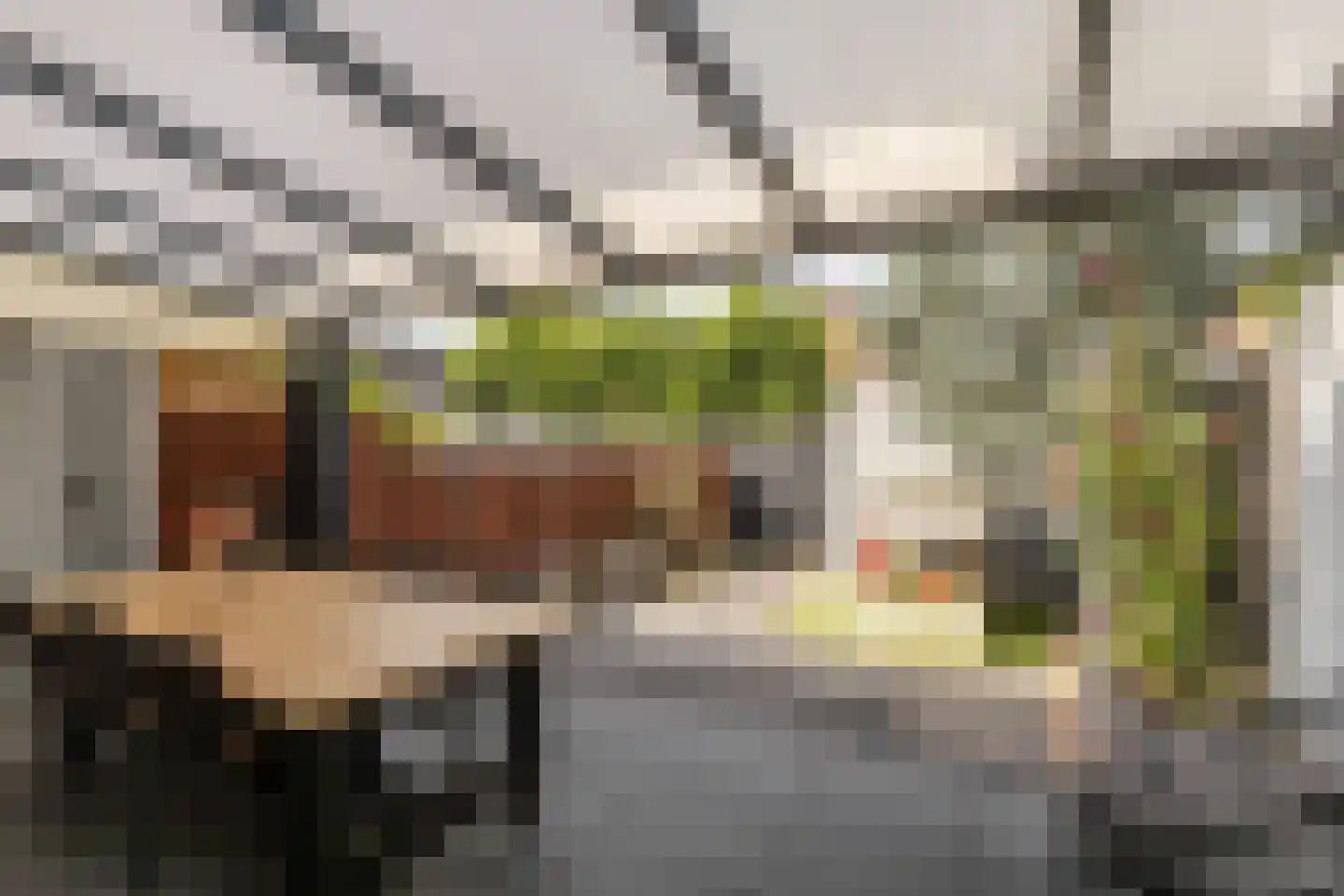 Spechthof 7 Elsloo thumbnail 36