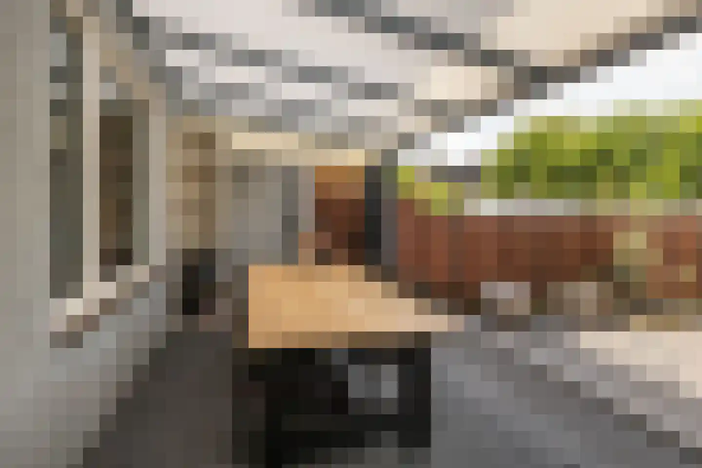 Spechthof 7 Elsloo thumbnail 37