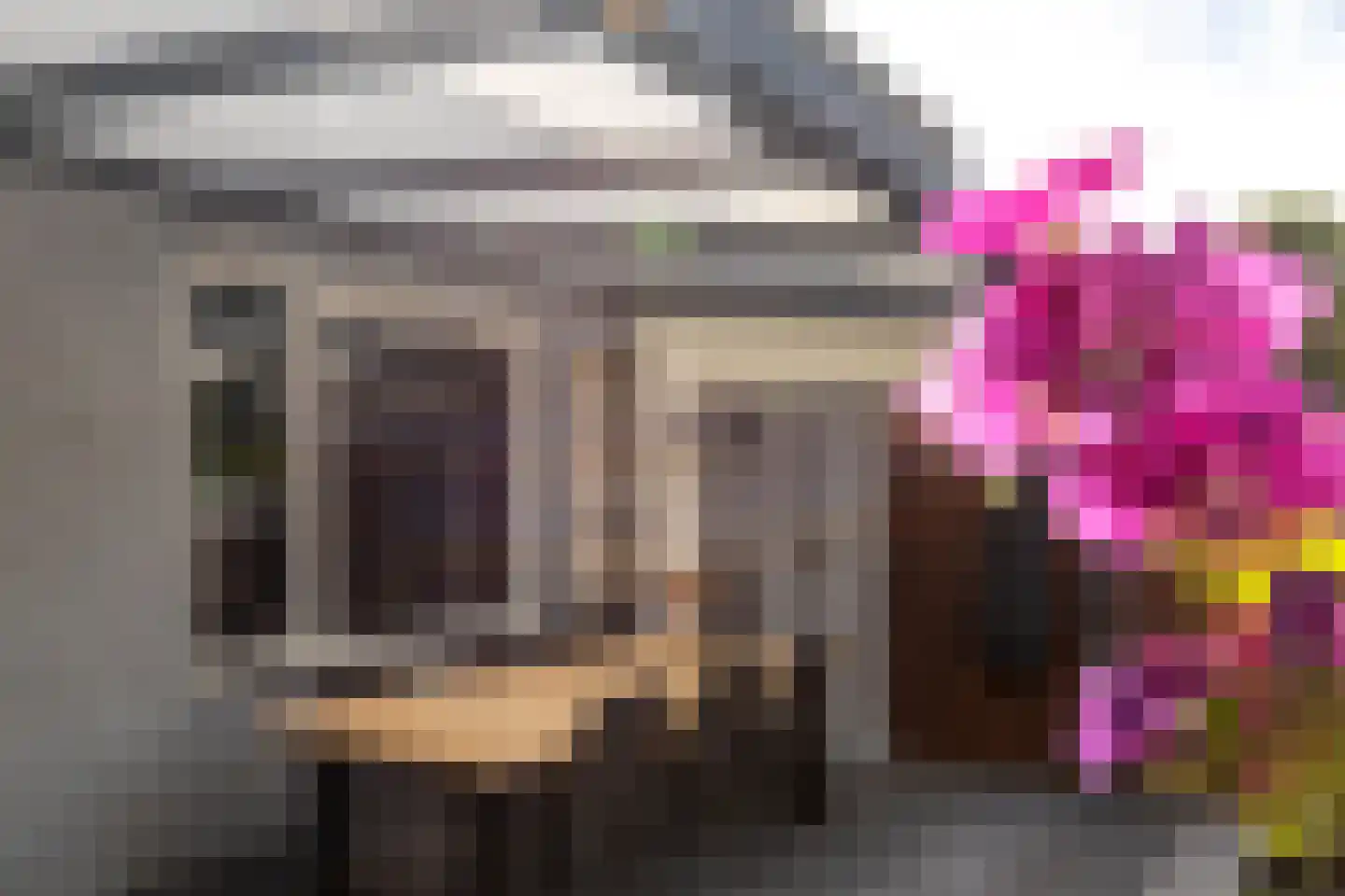 Spechthof 7 Elsloo thumbnail 38